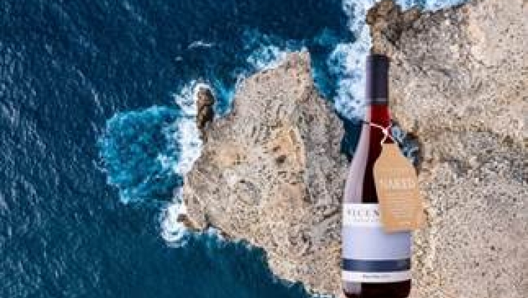 Vicentino Pinot Noir Naked O Novo Tinto Da Costa Vicentina