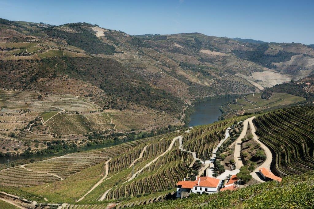 Quinta da Gricha premiada nos Best of Wine Tourism 2022