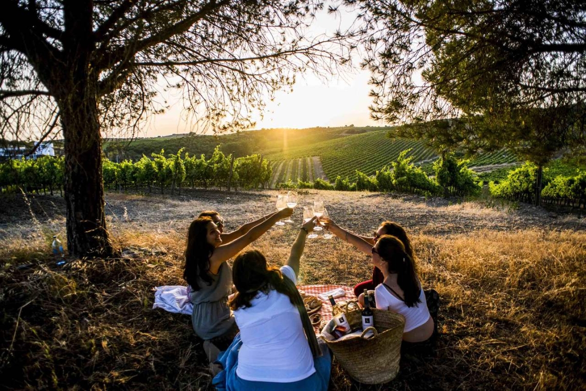 Évora Hotel com descontos para a Rota dos Vinhos do Alentejo