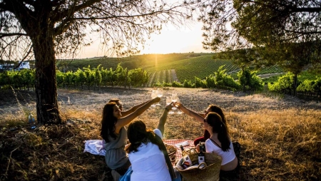 Évora Hotel com descontos para a Rota dos Vinhos do Alentejo