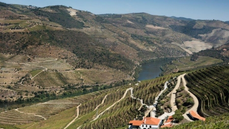 Quinta da Gricha premiada nos Best of Wine Tourism 2022