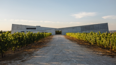 Compra da vinícola ‘Caminhos Cruzados’ dá origem ao ‘Grupo Terras e Terroir’